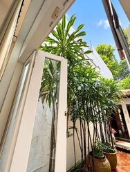 Anthony Road (D9), Terrace #636115401